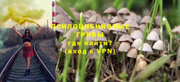 молекула духа Красноперекопск