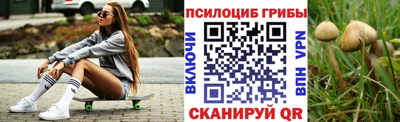 Купить  Отрадное  Псилоцибиновые грибы прущие грибы 